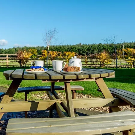 Holiday home 3 Bed In York 79525 Deighton