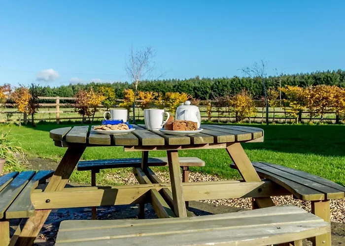 3 Bed In York Oc-79525