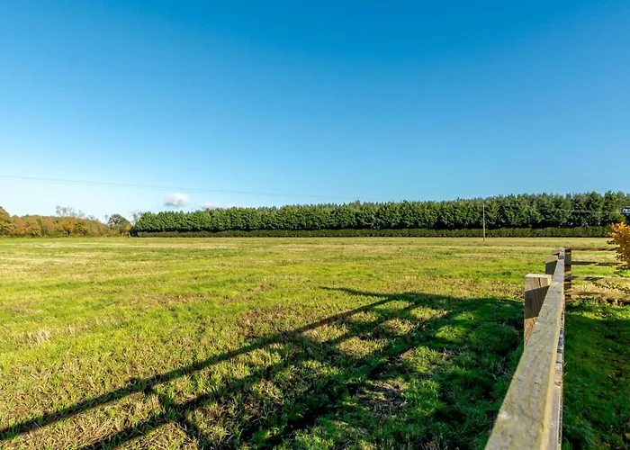 Prázdninový dům 3 Bed In York Oc-79525 *